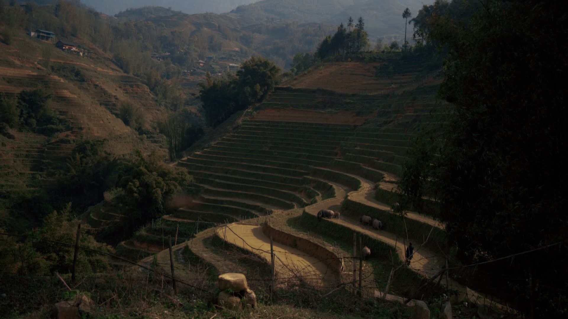 应用 LUT 后预览