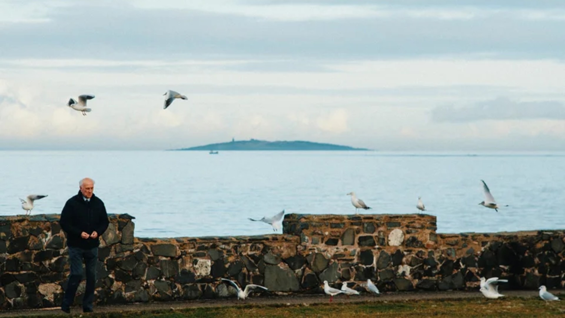 应用 LUT 后预览