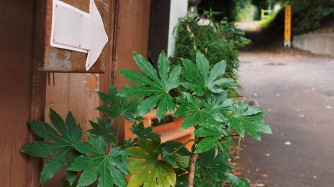 柯达Ektachrome100VSGeneric