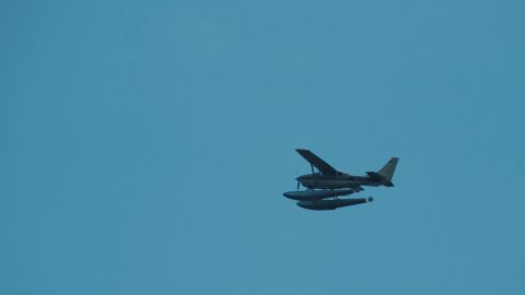 非常绿蓝的氛围