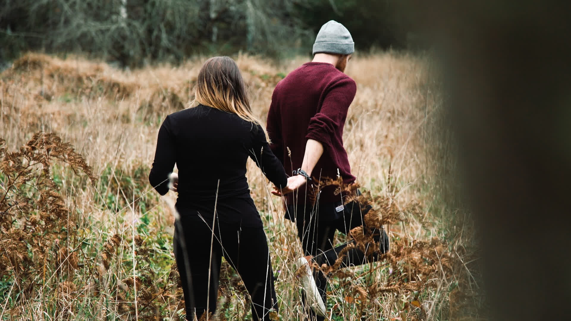 应用 LUT 后预览