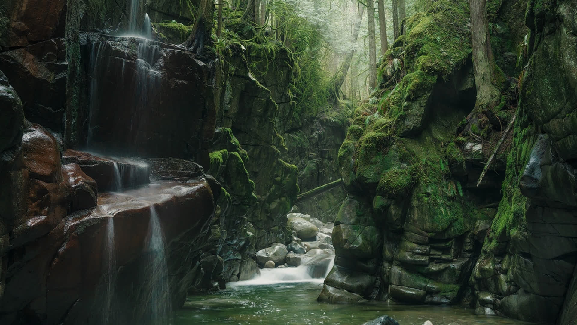 应用 LUT 后预览