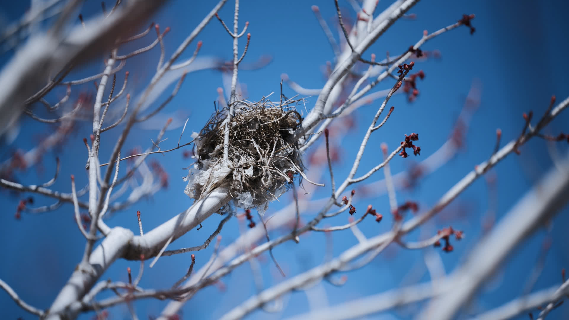 应用 LUT 后预览