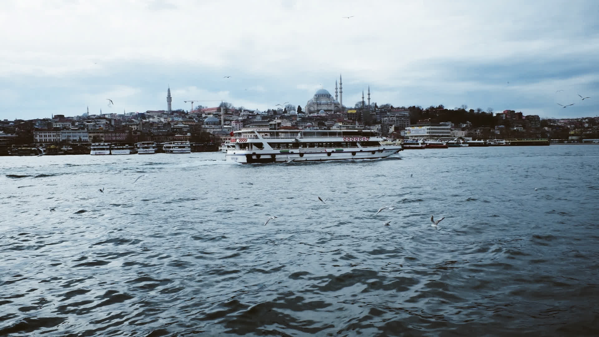 应用 LUT 后预览