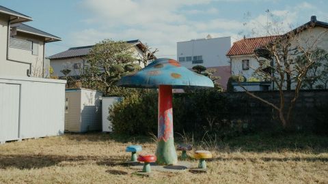 安式青绿电影低饱和