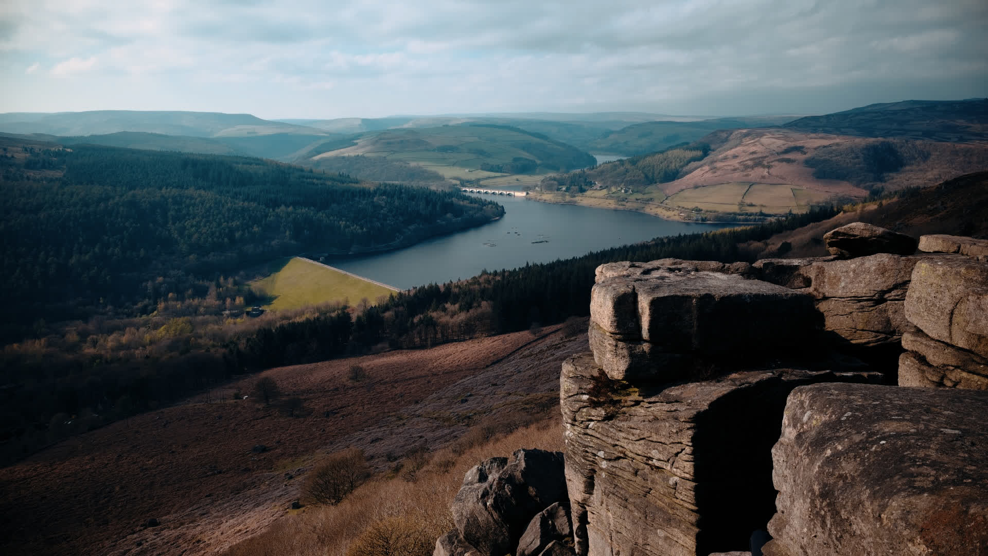 应用 LUT 后预览