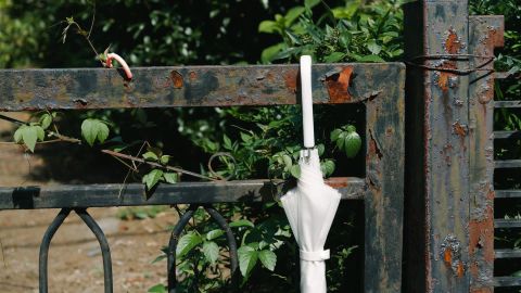 柯达 Portra 160 3 +