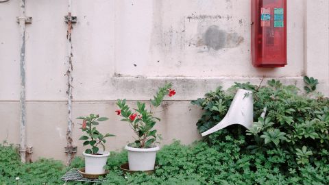 柯达 Kodachrome 200