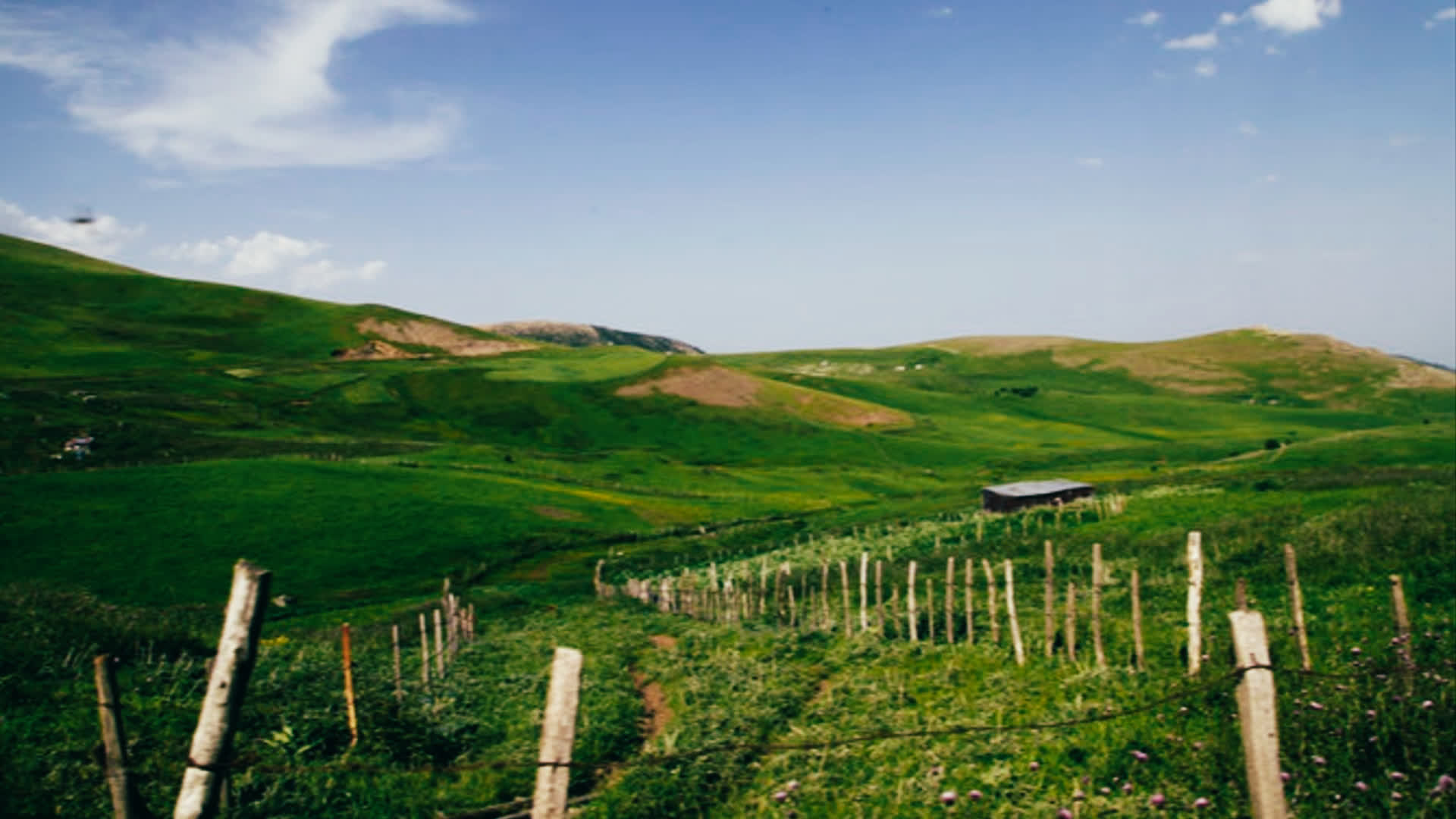 应用 LUT 后预览