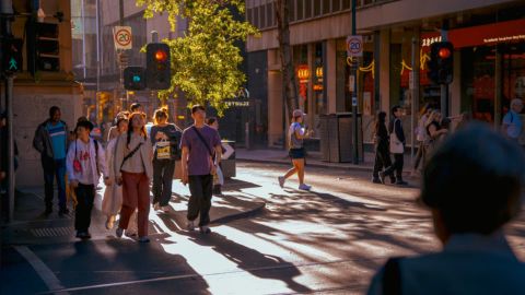 Vision 6 柔性电影风