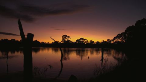 影院色彩 Eterna Cinema