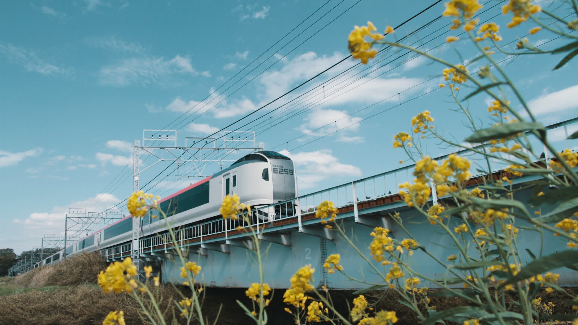 应用 LUT 后预览