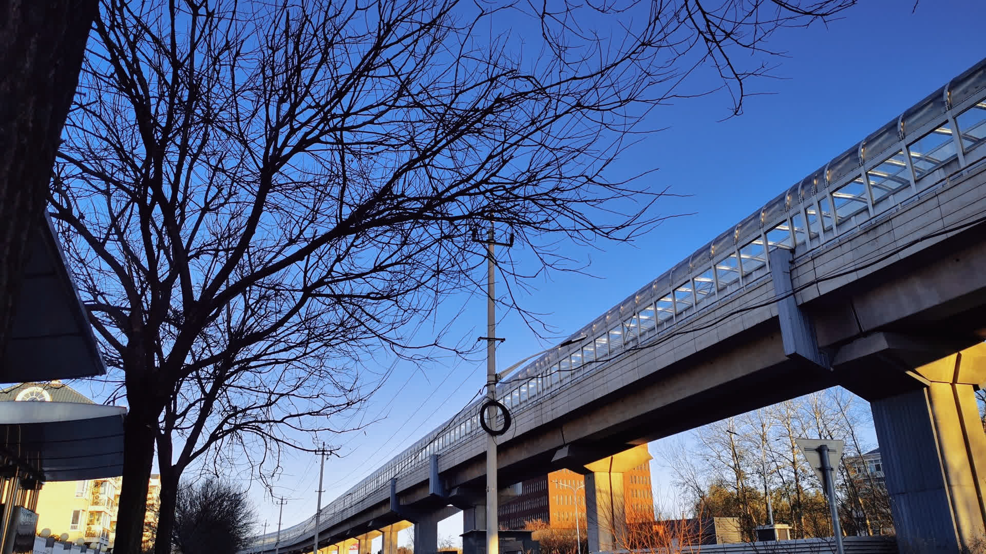 应用 LUT 后预览