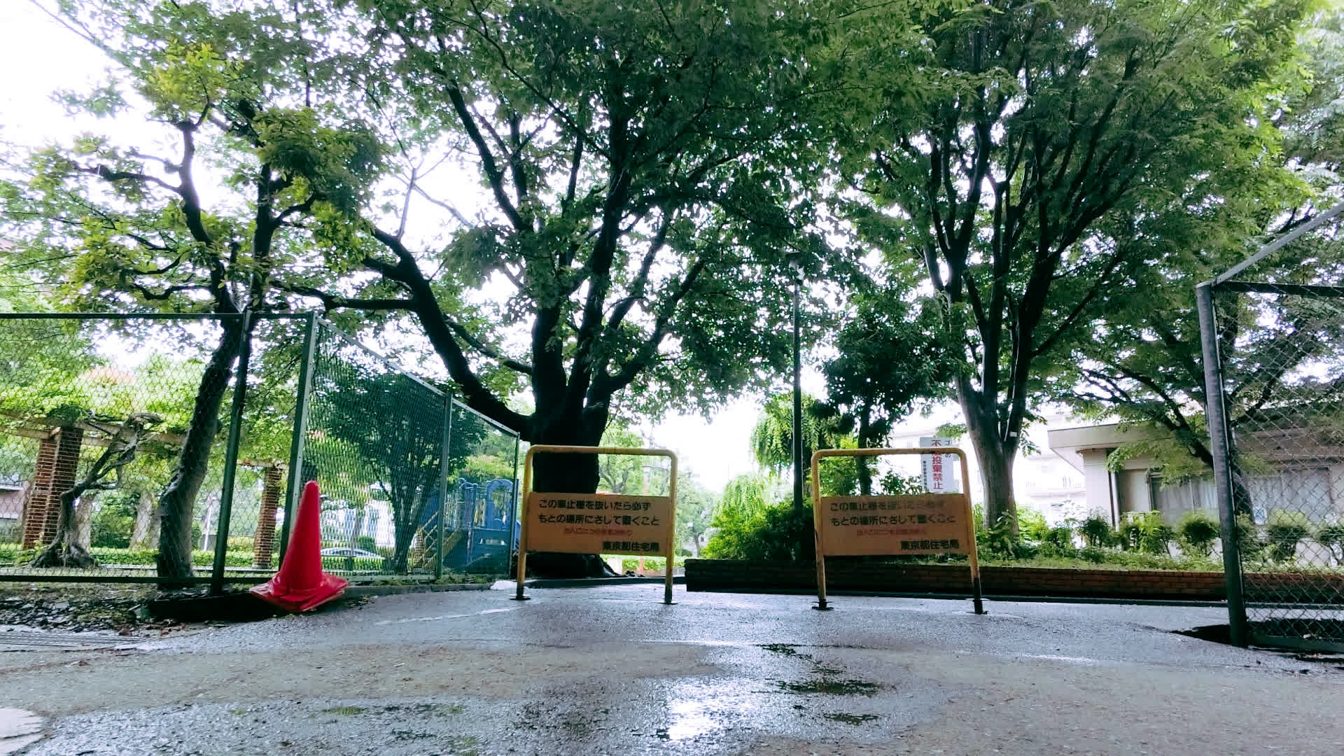 应用 LUT 后预览