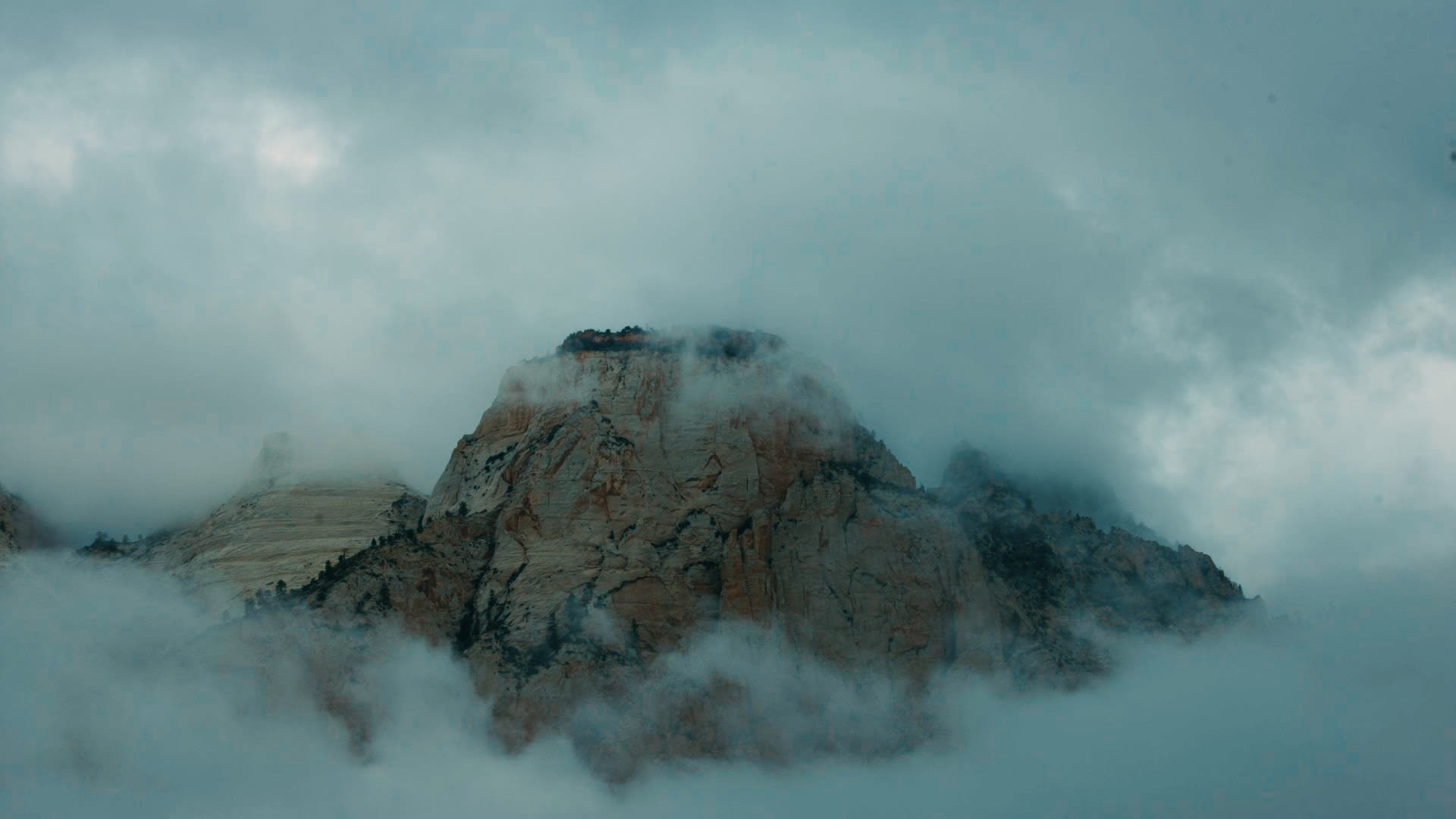 应用 LUT 后预览