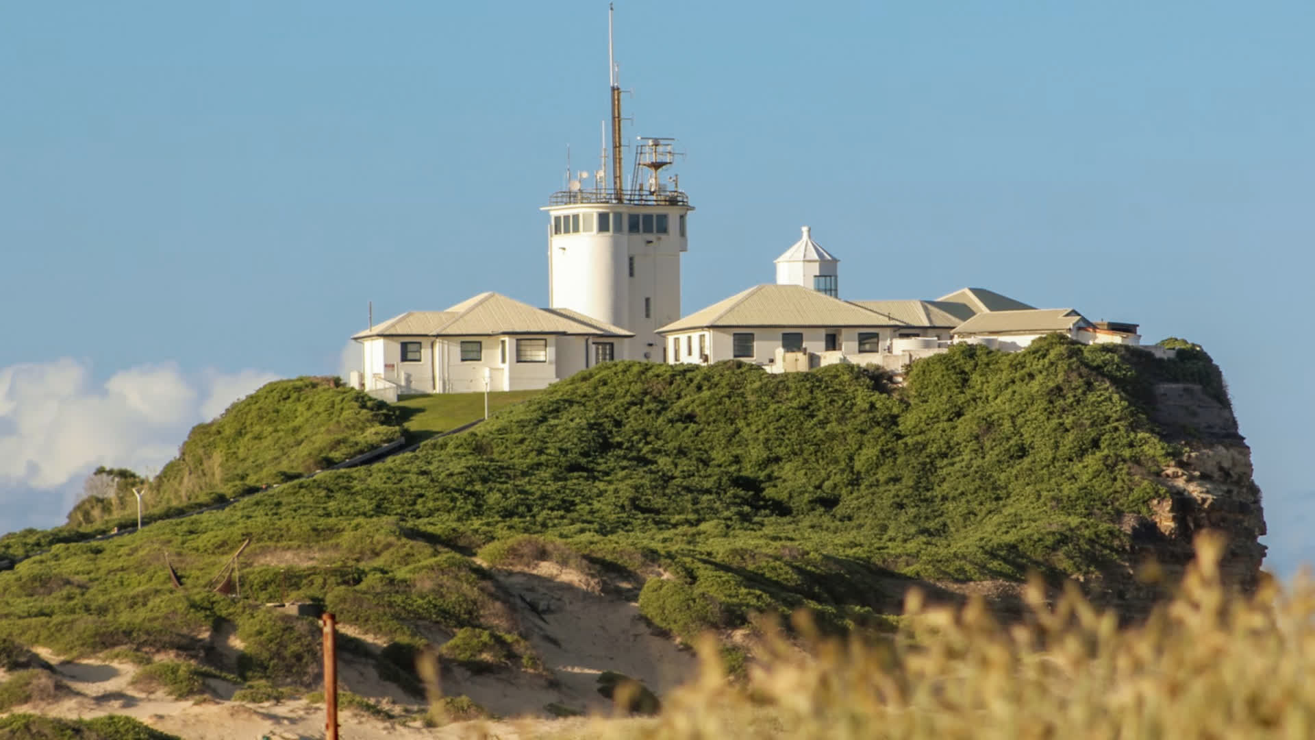 应用 LUT 后预览