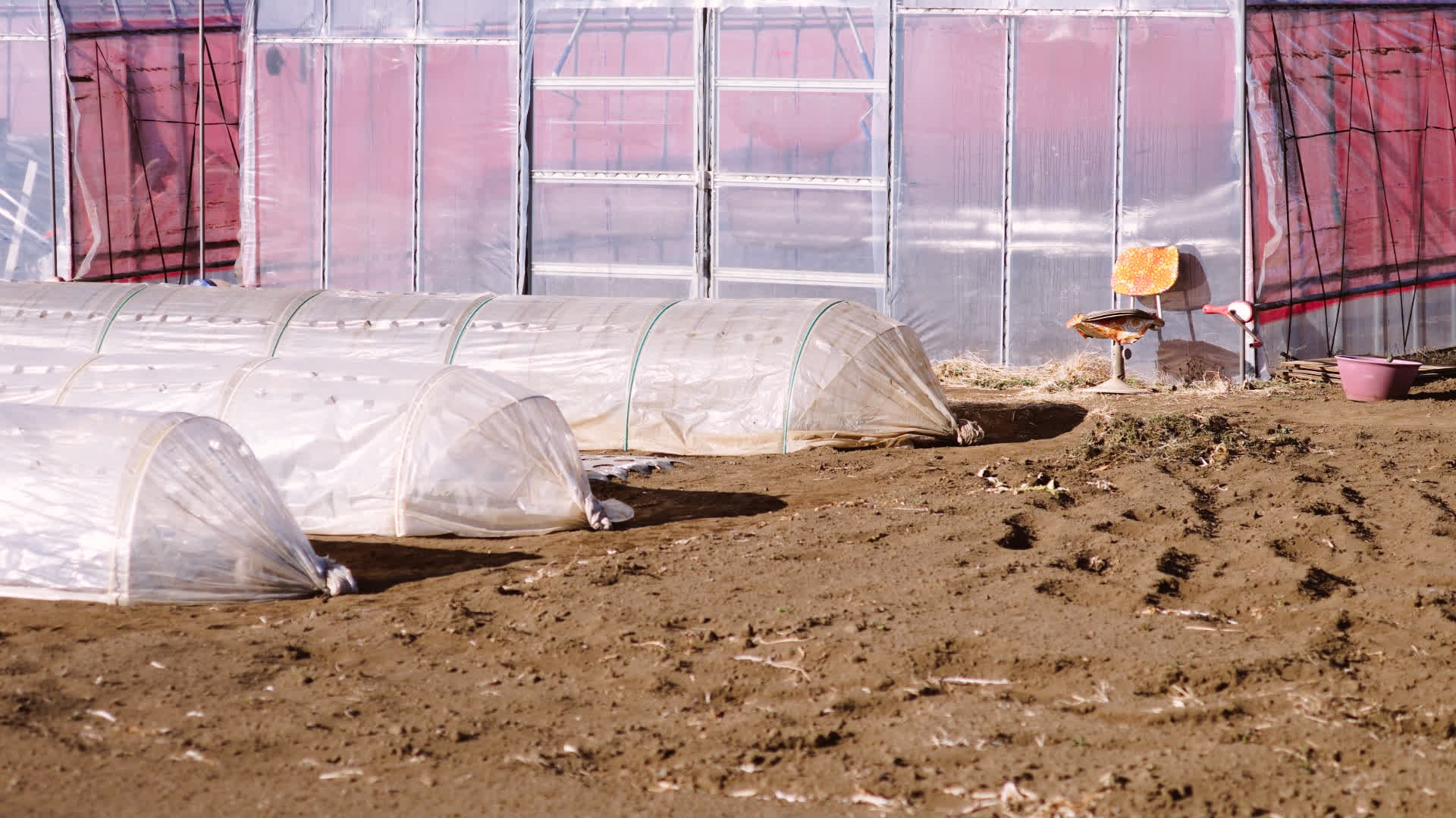 应用 LUT 后预览