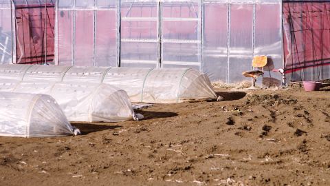 宝丽来Polaroid 690 Warm2-21