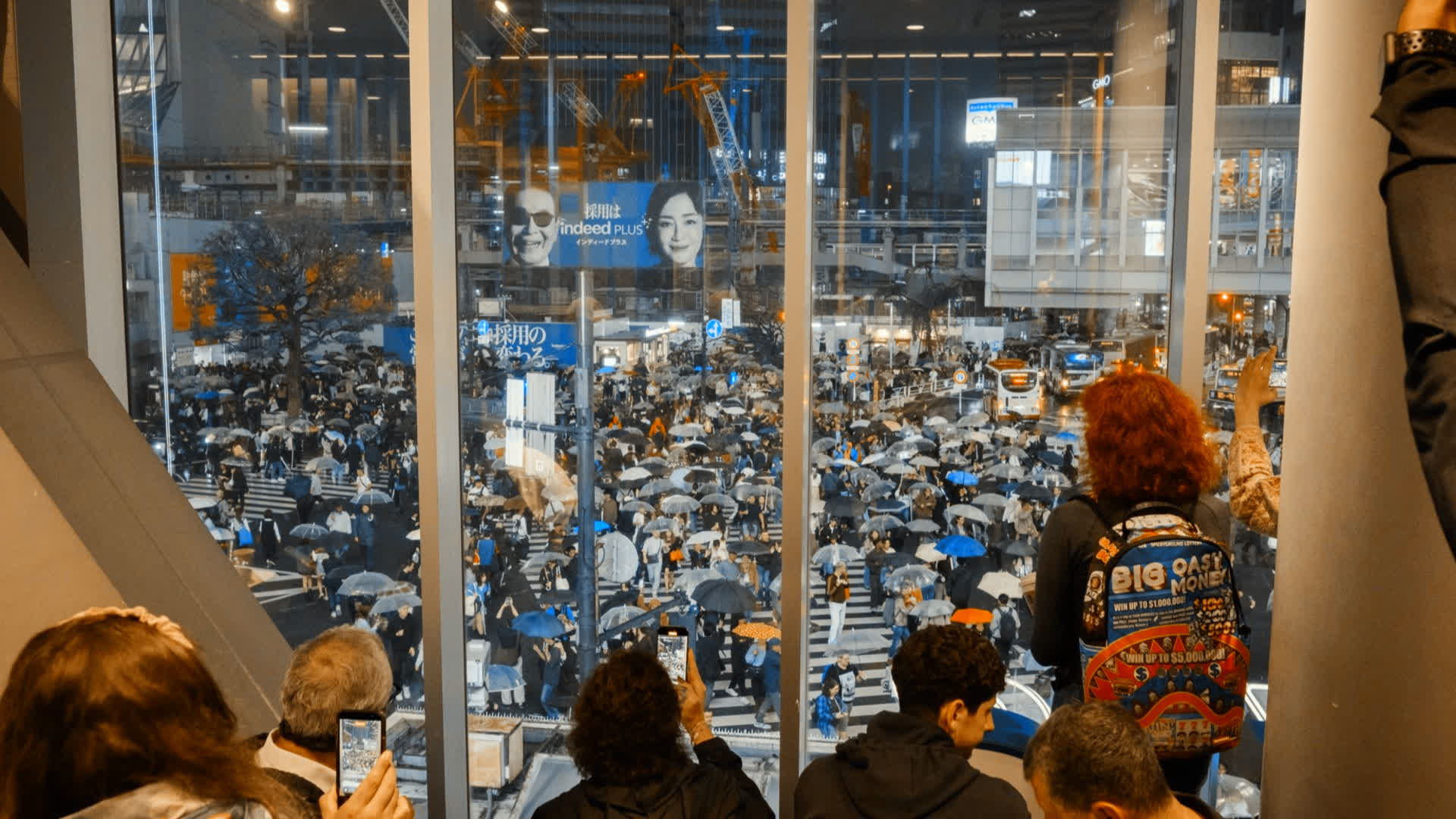 应用 LUT 后预览