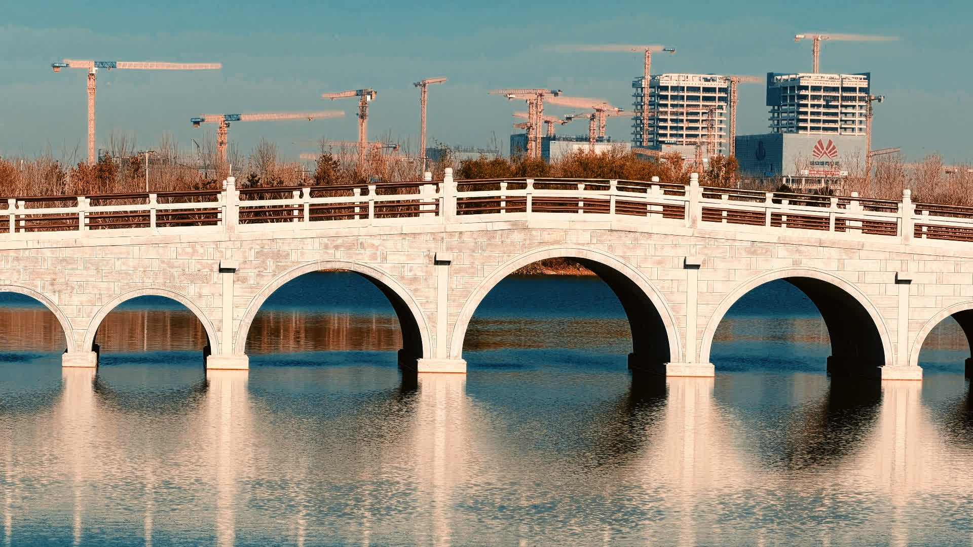 应用 LUT 后预览