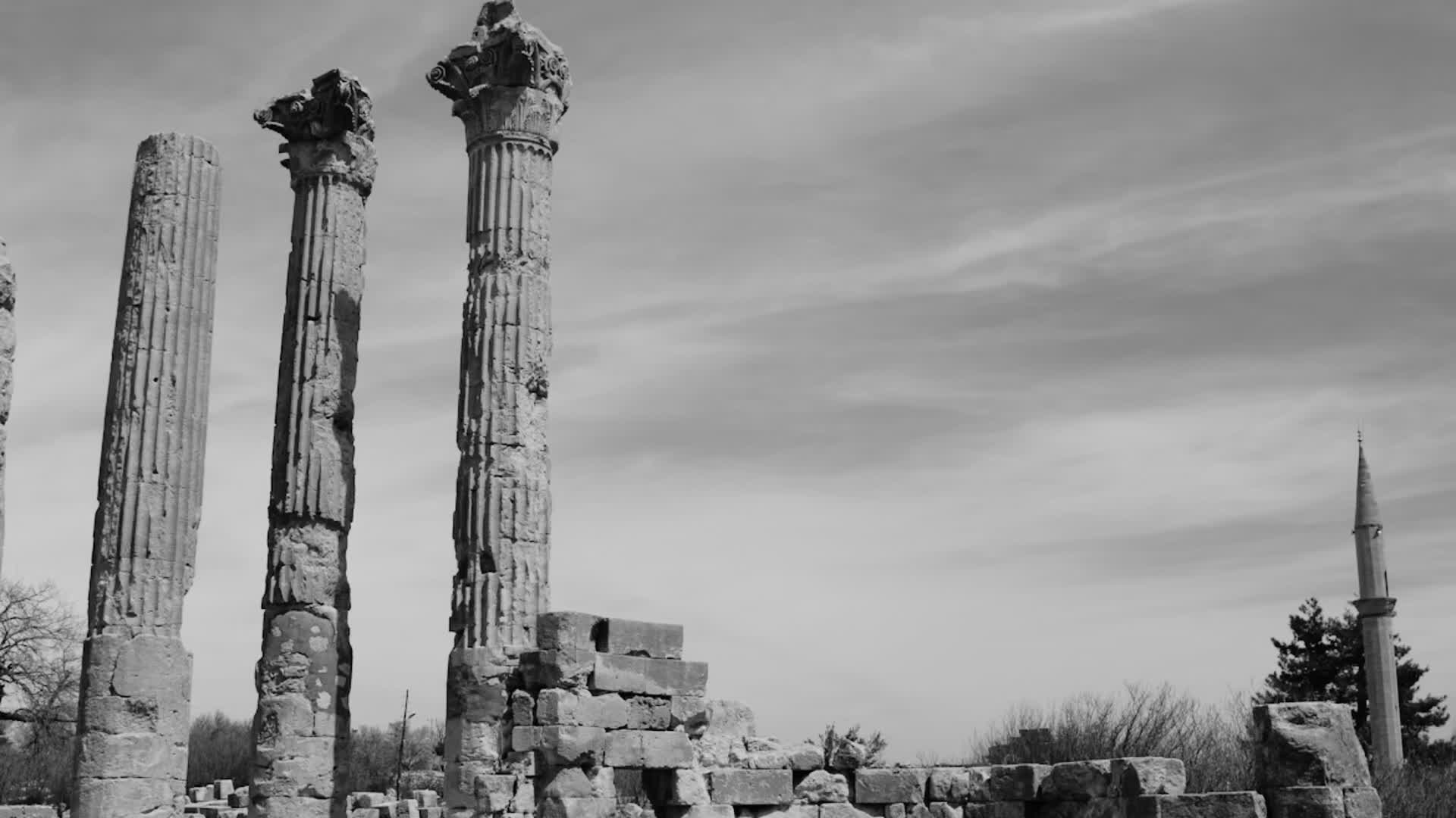 应用 LUT 后预览