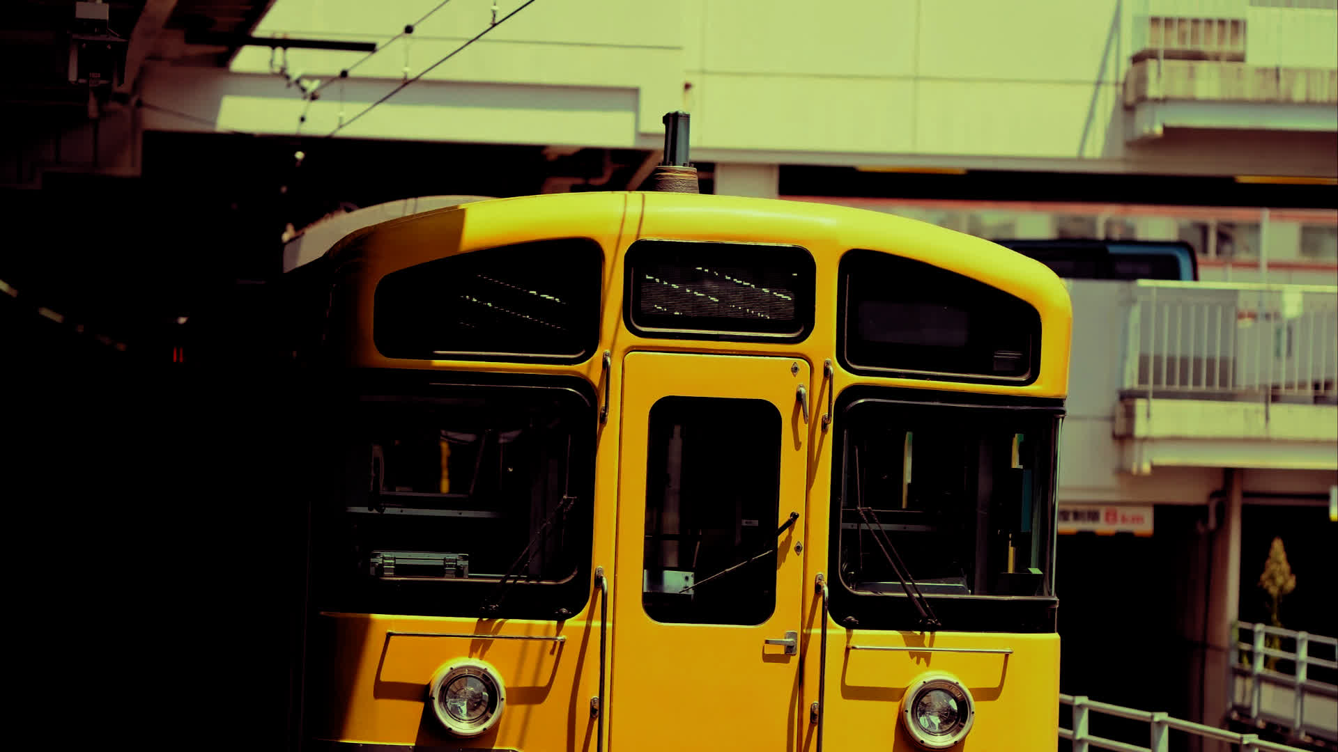 应用 LUT 后预览