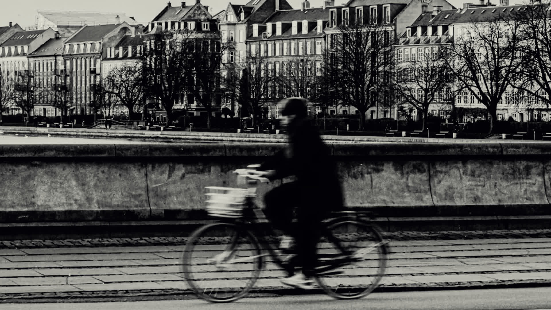 应用 LUT 后预览