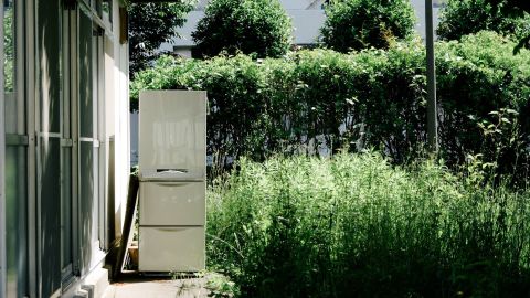 柯达 Portra 400 NC 1 -