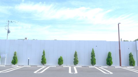 窗边自然光