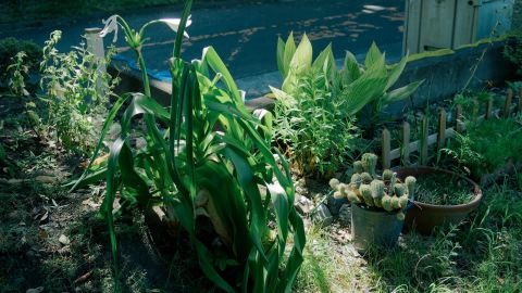 柯达 Portra 400 VC 1 -