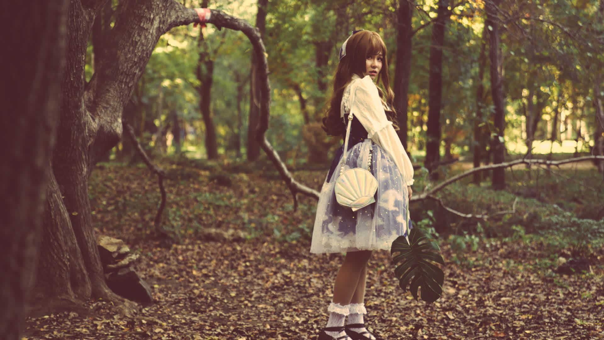 应用 LUT 后预览