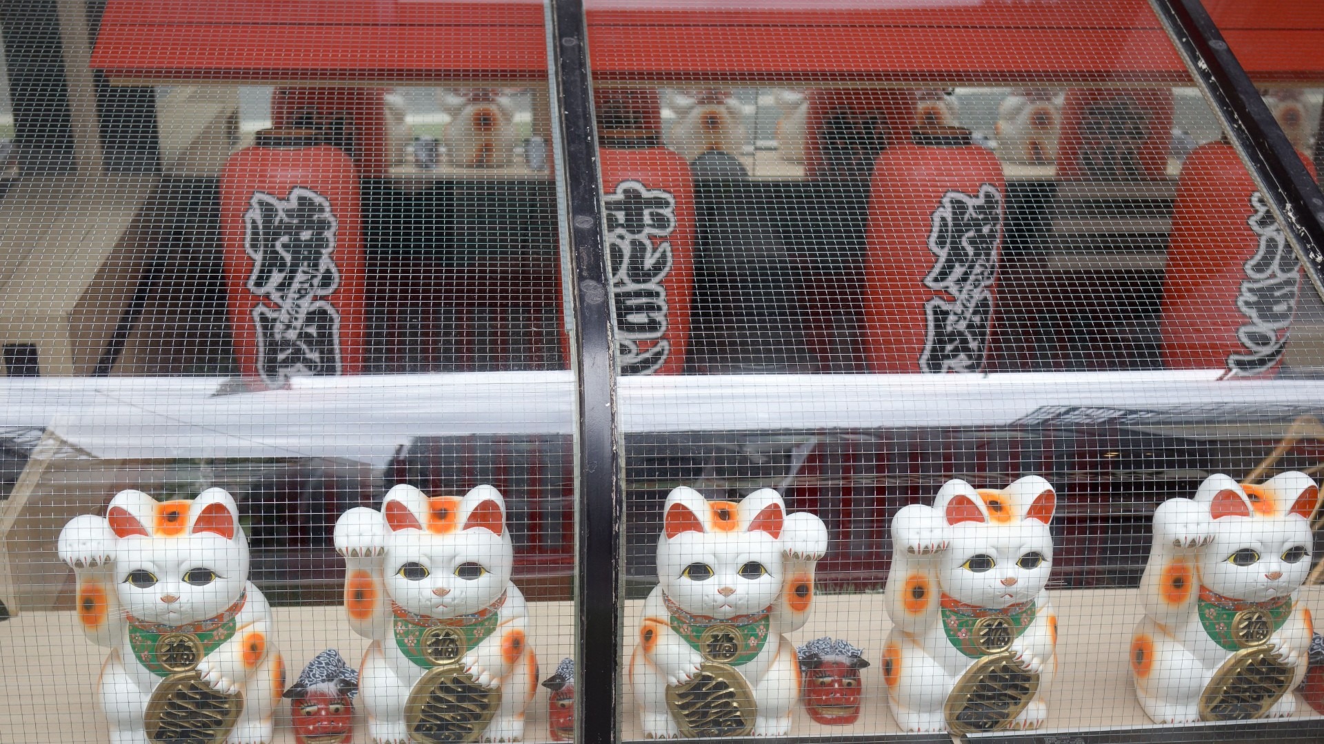 原始预览