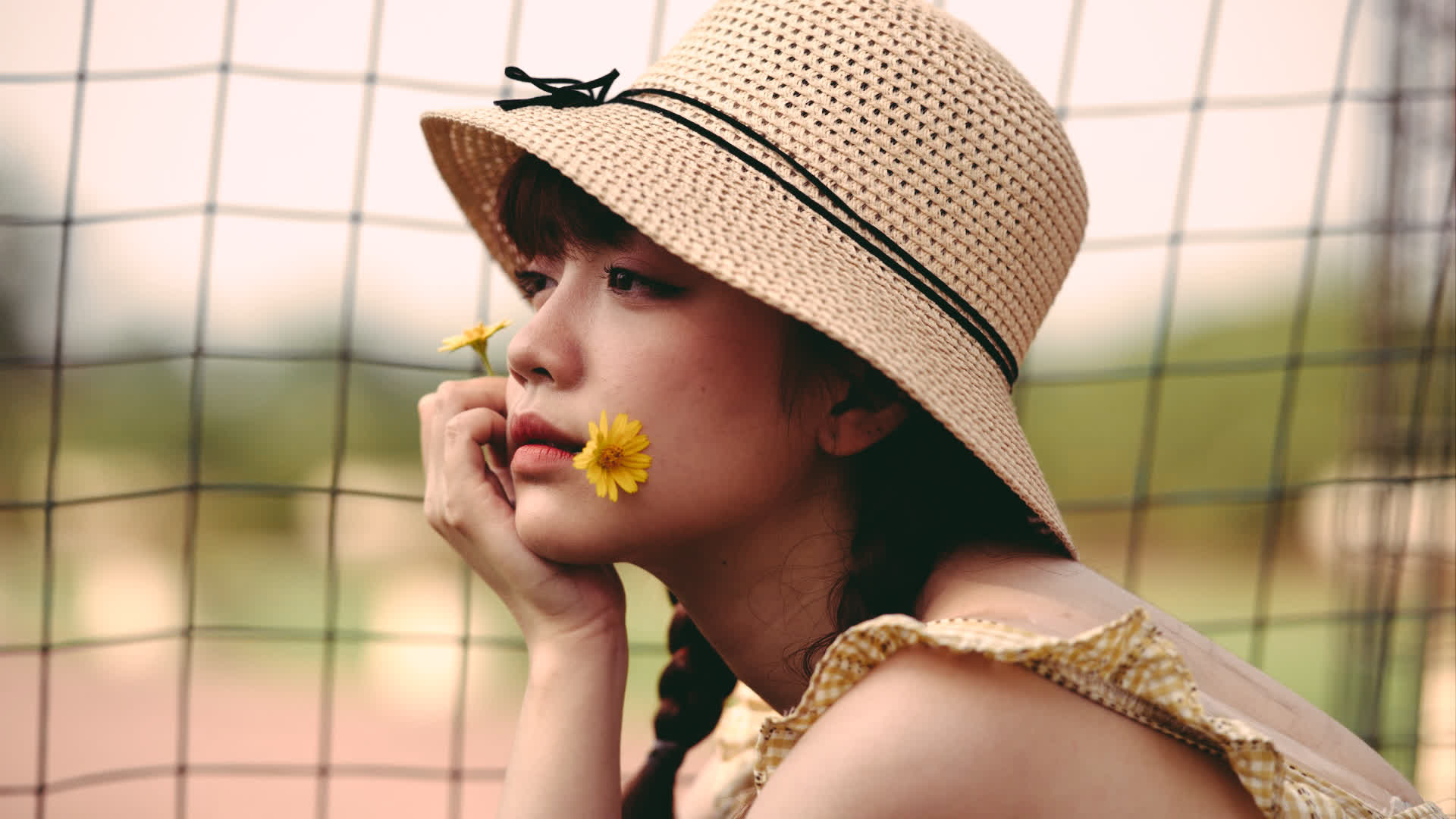 应用 LUT 后预览