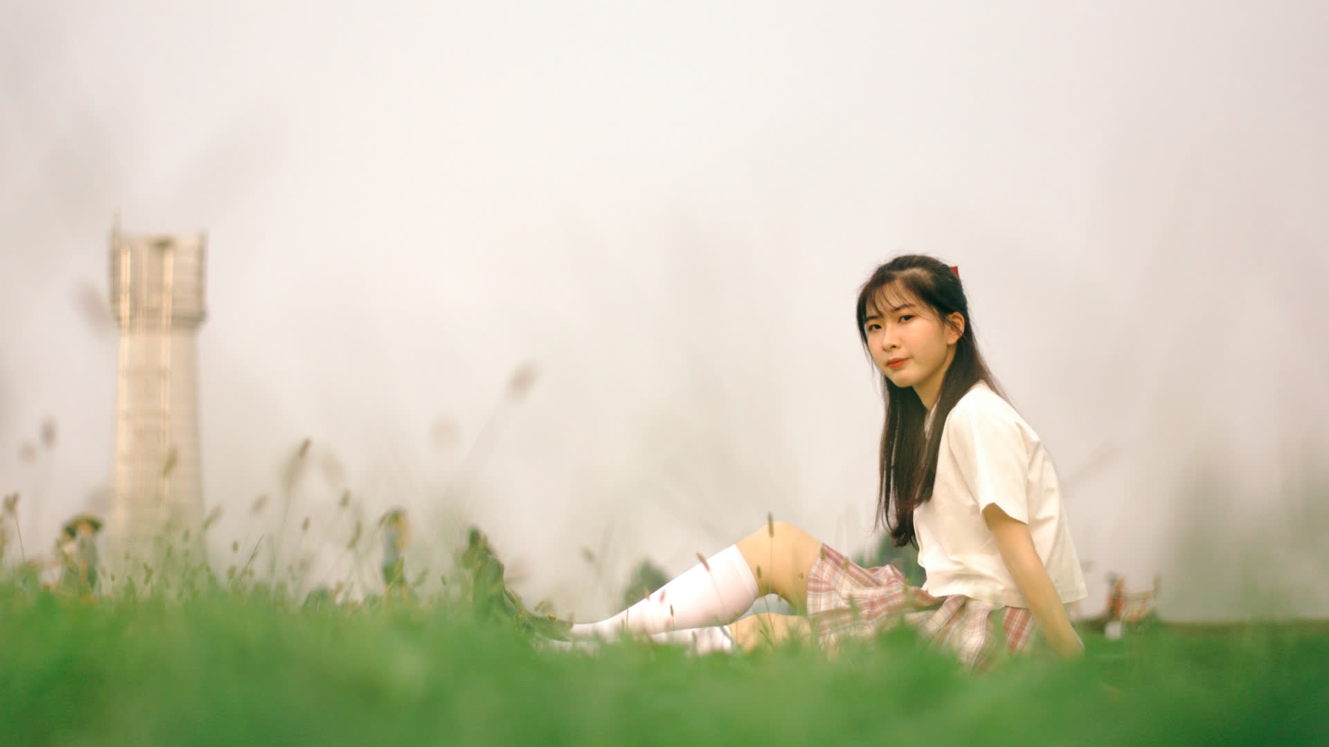 应用 LUT 后预览