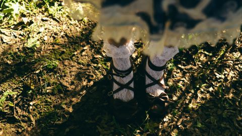 富士Fuji Superia 800 2