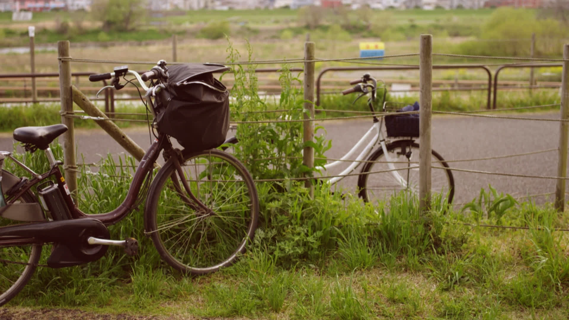 应用 LUT 后预览