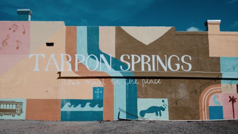 浅绿色和鲜艳青色的两种色调