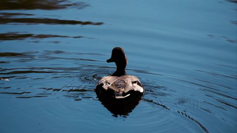 温暖的电影效果 带有品红色氛围