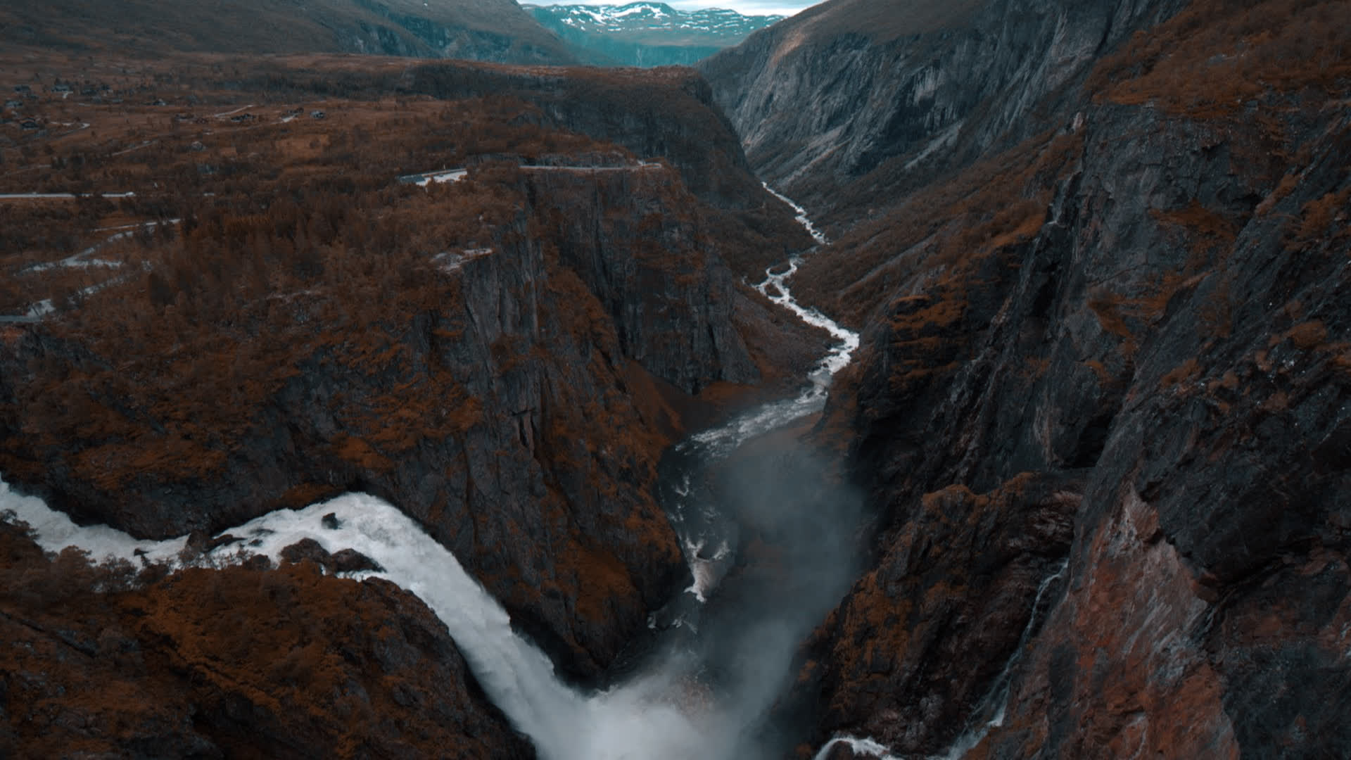 应用 LUT 后预览