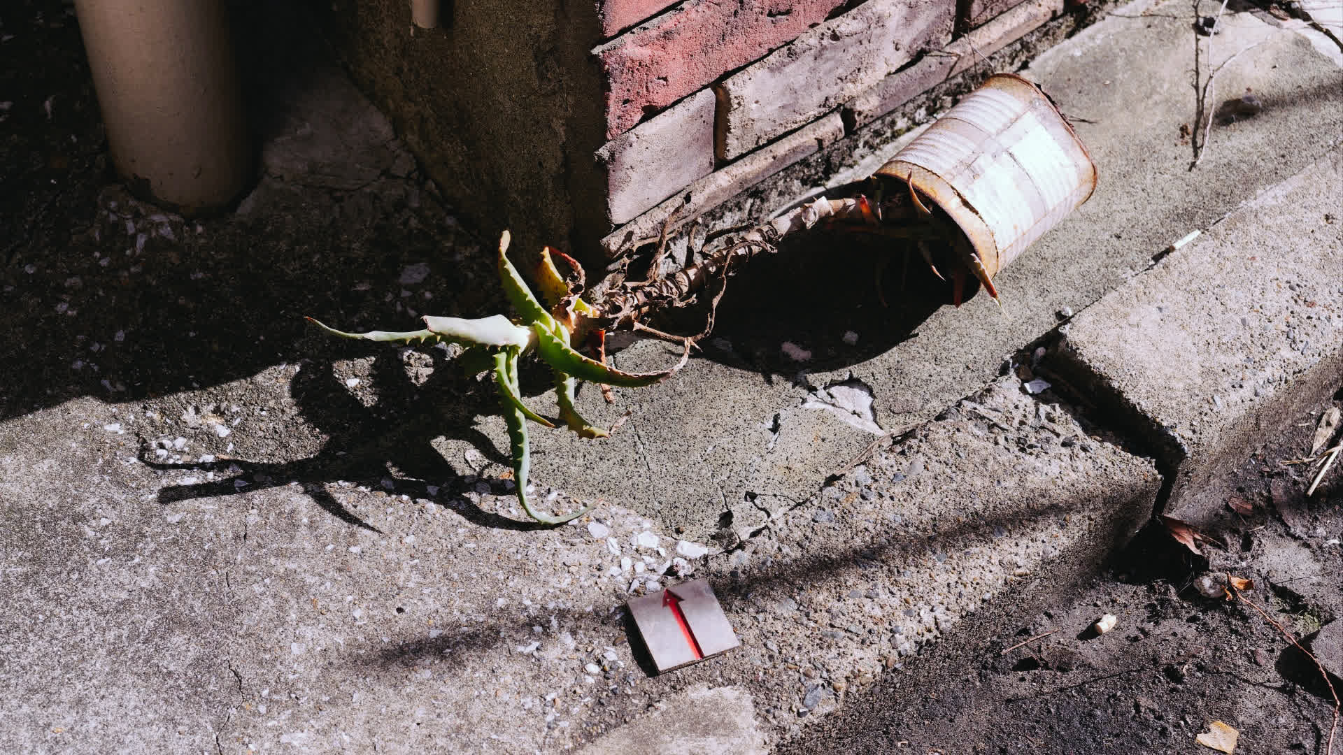 应用 LUT 后预览