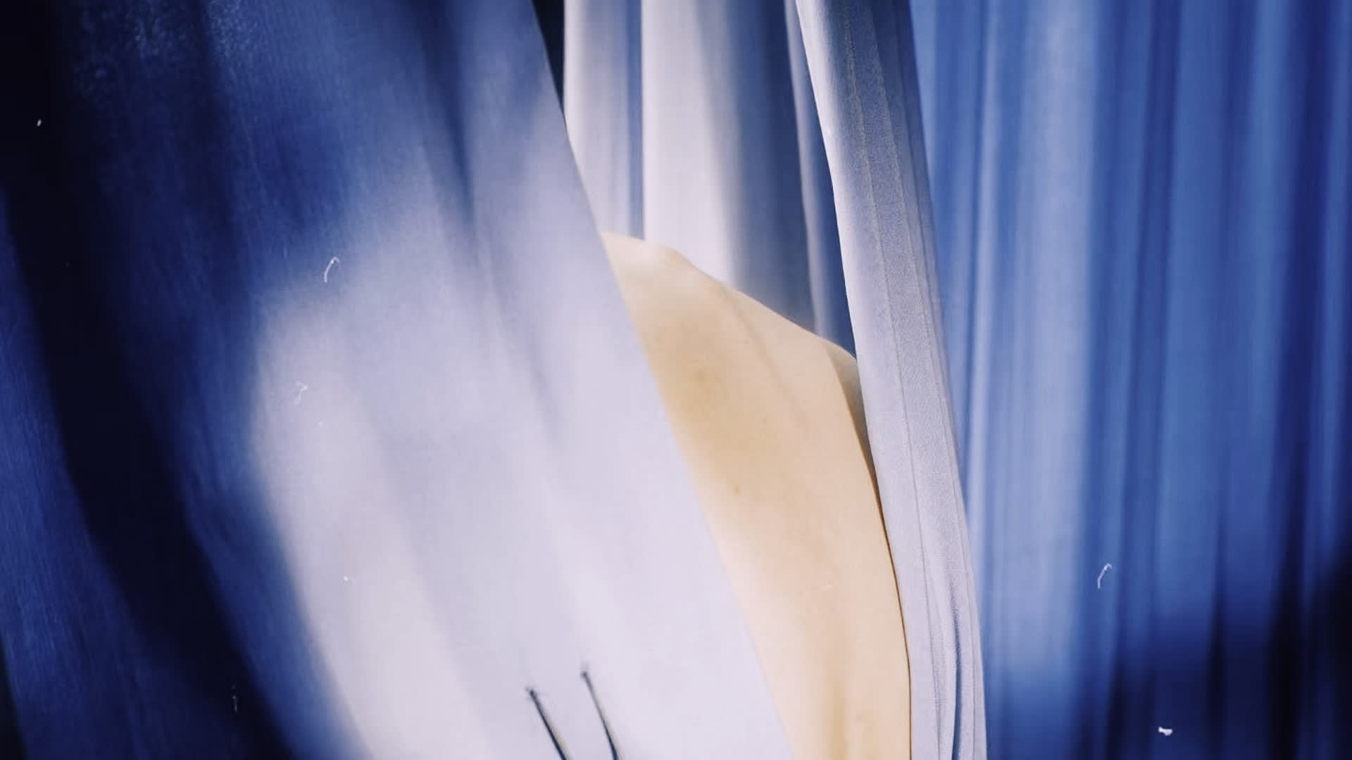 应用 LUT 后预览