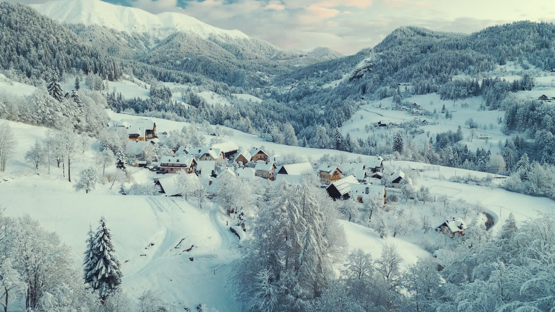 应用 LUT 后预览