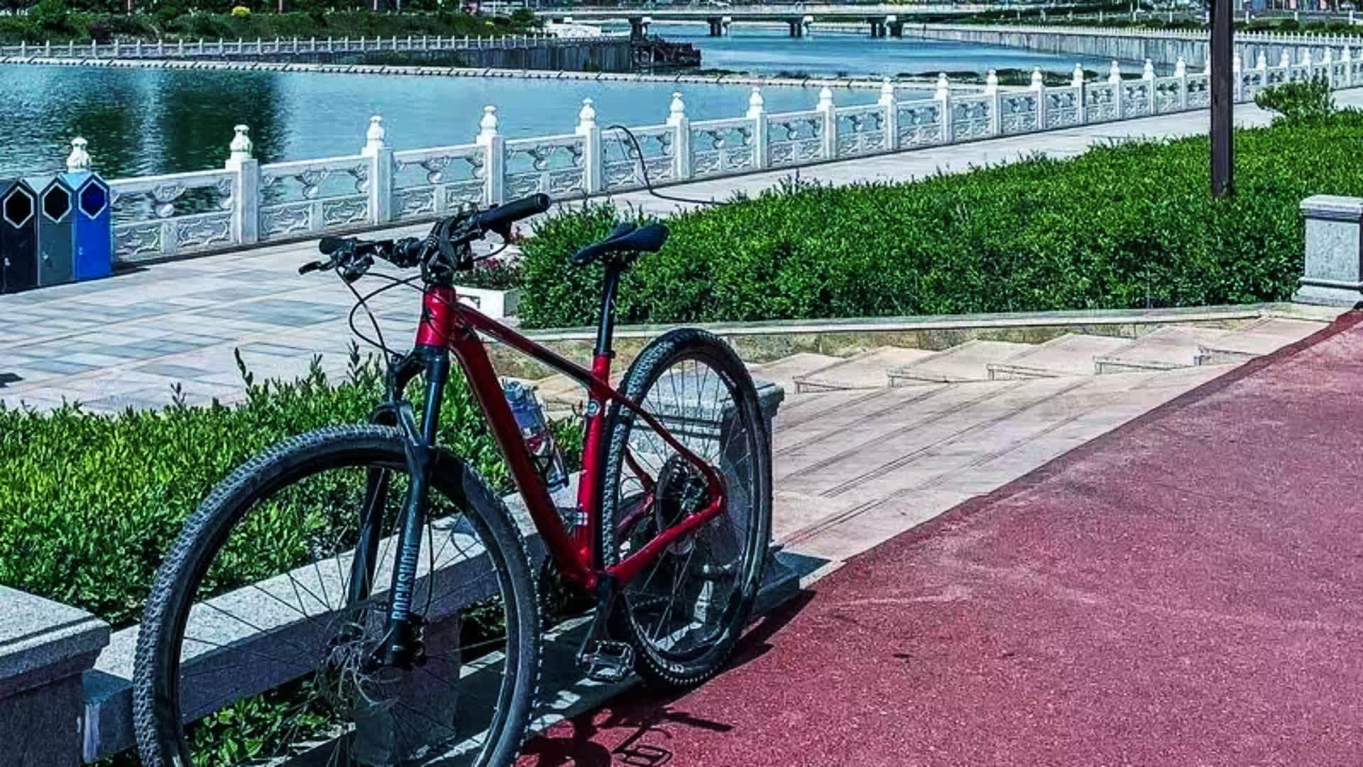 应用 LUT 后预览