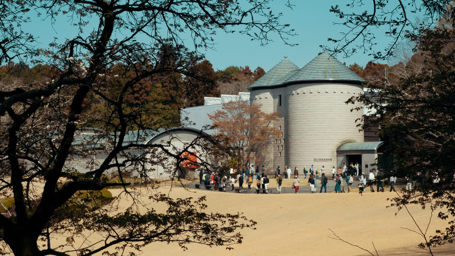 应用 LUT 后预览